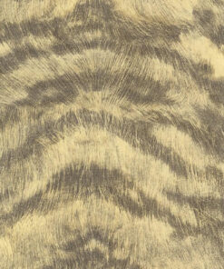 Loreana Duvar Kağıdı