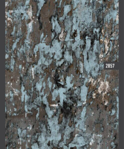 Project Duvar Kağıdı