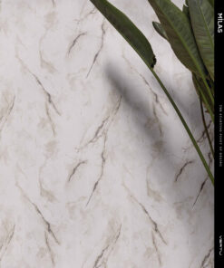 Vertu Milas Duvar Kağıdı