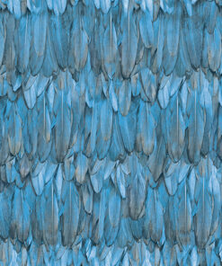 Trapicano Duvar Kağıdı