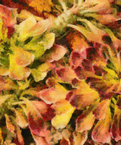 Yağlı Boya (New) Posterleri