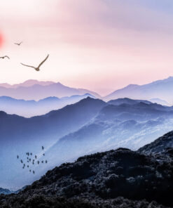 Yağlı Boya (New) Posterleri