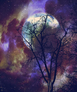 Ahşap&Ağaç Posterleri