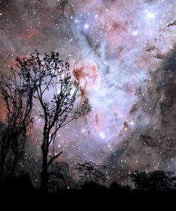 Ahşap&Ağaç Posterleri