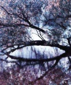 Ahşap&Ağaç Posterleri