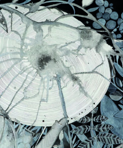 Walpapers Posterleri