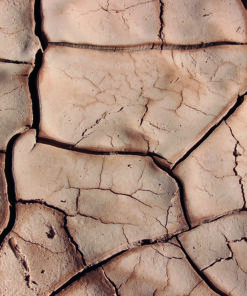 Ahşap&Ağaç Posterleri