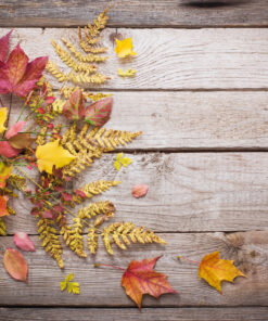 Ahşap&Ağaç Posterleri