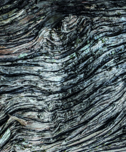 Ahşap&Ağaç Posterleri