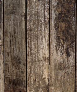 Ahşap&Ağaç Posterleri