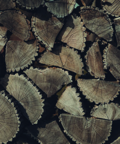 Ahşap&Ağaç Posterleri