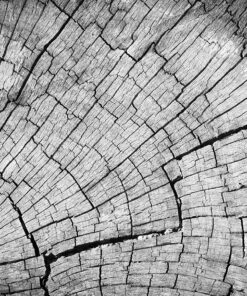 Ahşap&Ağaç Posterleri