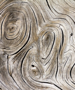 Ahşap&Ağaç Posterleri