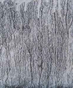 Ahşap&Ağaç Posterleri