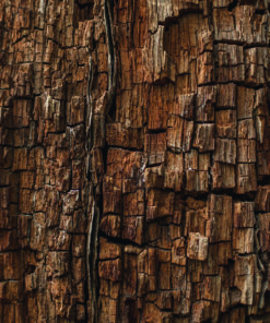 Ahşap&Ağaç Posterleri