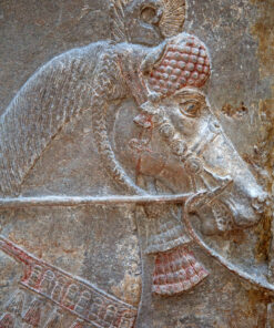 Tarihi&Araçlar Posterleri