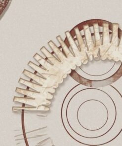 Veluce Vinil Duvar Kağıdı