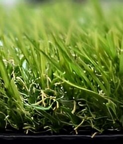 Suni çim fiyatları, Bahçe yapay çim, Bahçe suni çim, Balkon suni çim, Balkon çim halısı, Yapay çim fiyatları, Yapay çim halı, Suni cim, Suni çim halı, 7mm çim halı, Plastik çim halı, Sahte çim, Çim halı modelleri, Yapay çim rulo, 30 mm çim halı, 40 mm çim halı Çim halı fiyatları, Suni çim m2 fiyatı, Yapay çim fiyatları, Çim halı m2 fiyatı, Çim halı metre fiyatı, Halı çim m2 fiyatı, Suni çim metrekare fiyatı, Teras çim halı, Yeşil suni çim fiyatları, Bahçe suni çim, Bahçe çim halısı, Bahçe yapay çim, Toprak üzerine suni çim, Bahçe çim halı, Bahçe çim halı fiyatları